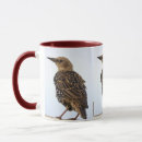Search for starling mugs Birds
