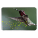 Recherche de colibri magnets Oiseau de ronflement