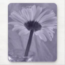 Recherche de gerbera électronique Botanique