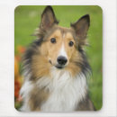 Search for rough mousepads Pet