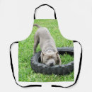 Search for bull dog aprons Staffordshire