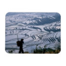 Recherche de paniers magnets Ferme