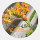Search for monarch butterfly caterpillar stickers Milkweed
