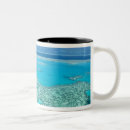 Search for queensland mugs Tourism