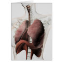 Recherche de vue 3d cartes postales Arbre bronchique