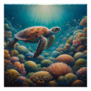 Recherche de tortue posters Sous la mer