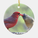 Search for cardinal photo ornaments Bird