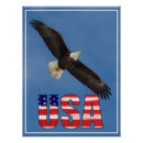 Search for eagle usa posters Red white and blue