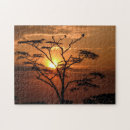 Search for vulture Silhouette