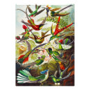 Search for biology posters Kunstformen der natur
