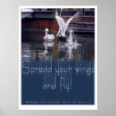 Recherche de pelican posters Animaux