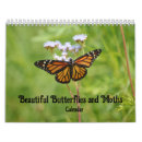 Search for moth calendars Butterfly