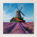 Recherche de champs puzzles Lavande
