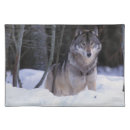 Search for wildlife placemats forest