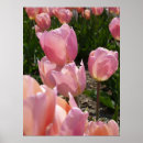 Search for tulip easter posters Garden