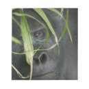 Recherche de habitat blocsnotes Faune