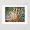 Recherche de le marianne cartes postales Nord