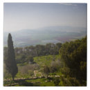 Search for biblical tiles Israel
