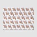 Search for pig tissue paper Hog