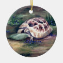 Search for tortoise ornaments Pet