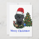 Search for poodle christmas cards Funny