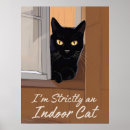 Search for black cat posters Feline