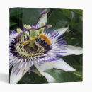 Search for secret binders Flowers