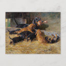 Search for dachshund puppy postcards Dog