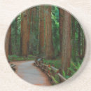 Search for marin coasters Forest