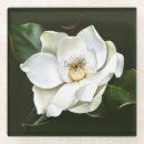 Search for closeup coasters White