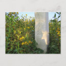 Search for gravestone postcards Cemetery