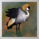 Search for crane bird posters Birds