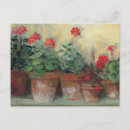 Recherche de géranium rouge cartes postales Jardin