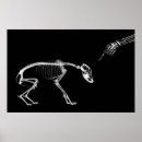 Search for xray posters Halloween