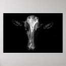 Recherche de tête de vache posters Ferme