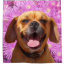 Search for poodle shower curtains Pink