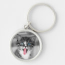 Search for selected keychains Kitten