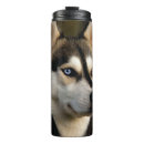 Recherche de malamute tasses Coquin