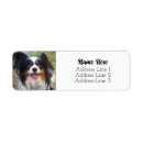 Search for brown white dog return address labels Pet