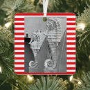 Search for sarasota ornaments Lido key