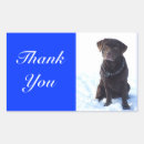 Search for chocolate labrador stickers Dog