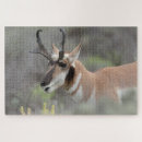Search for danita delimont puzzles Wyoming