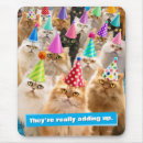 Search for cat party electronics Funny