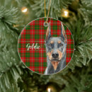 Search for doberman ornaments Plaid