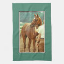 Recherche de sanger cuisine linges Pur sang