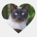 Search for close your eyes stickers Cute