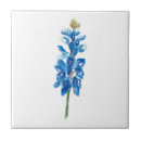 Search for texas star tiles Blue