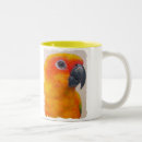 Search for conure mugs Sun