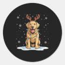 Search for labs stickers Dog