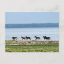 Search for surfacing postcards Horizontal